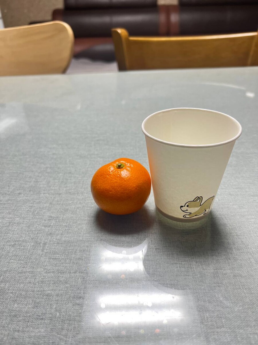 [네이버] 달달하고 맛있는 감귤, 타이벡감귤 5kg 23,500 (무료배송)_4.jpg