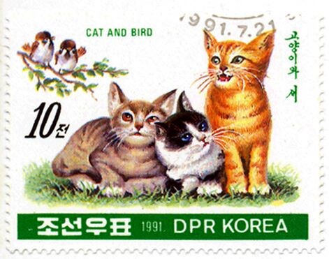 스압) 님들 "북한 고양이 우표" 본적 있어??ㅋㅋ_5.jpeg