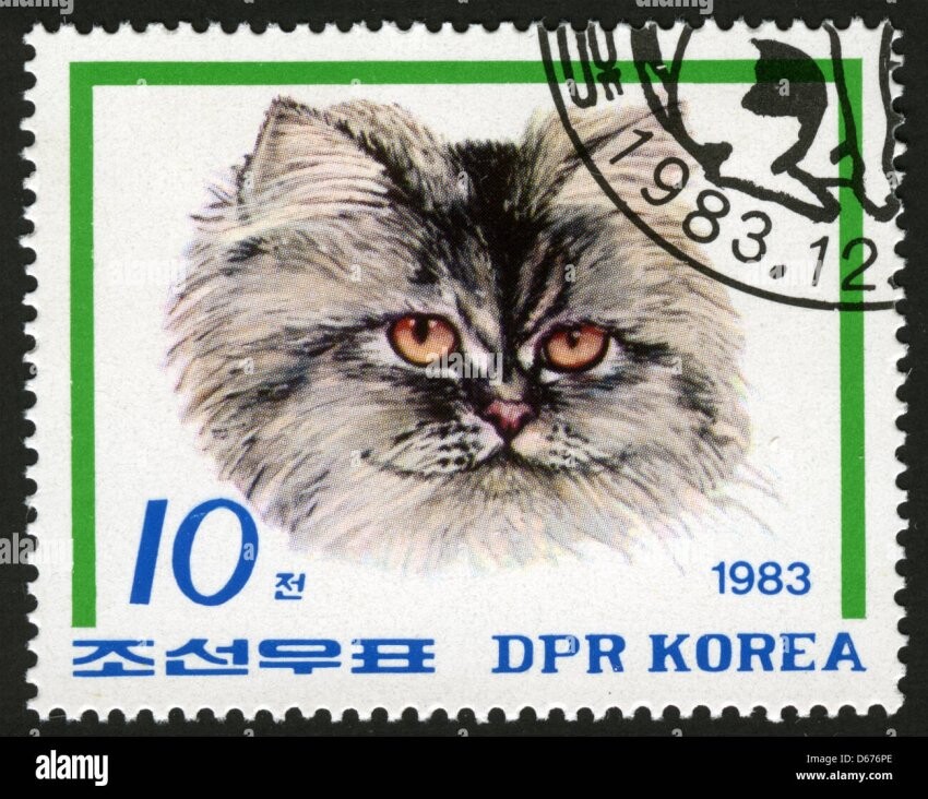 스압) 님들 "북한 고양이 우표" 본적 있어??ㅋㅋ_10.jpeg