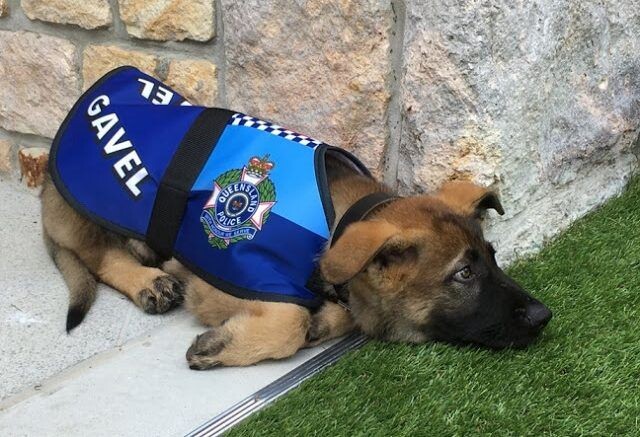 [극혐] 타가메 겐고로 스타일로 그린 동탁 미시룩.jpg_27.jpg