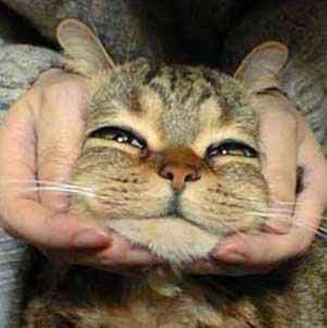 [극혐] 타가메 겐고로 스타일로 그린 동탁 미시룩.jpg_12.jpg