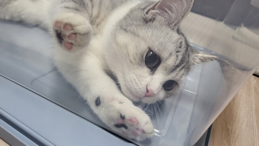 [극혐] 타가메 겐고로 스타일로 그린 동탁 미시룩.jpg_3.jpg