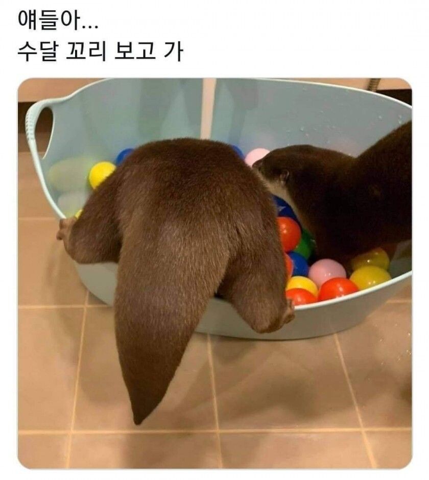 [극혐] 타가메 겐고로 스타일로 그린 동탁 미시룩.jpg_5.jpg