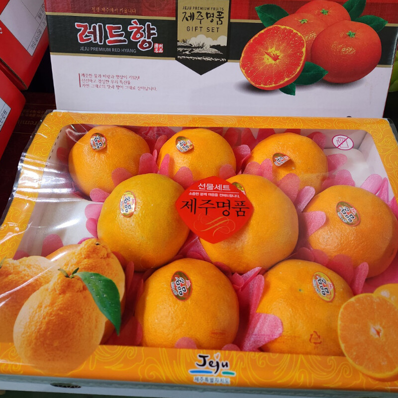 [네이버] 명절 선물용 제주도 레드향 3kg 36,500원 (택배비무료)_1.jpg