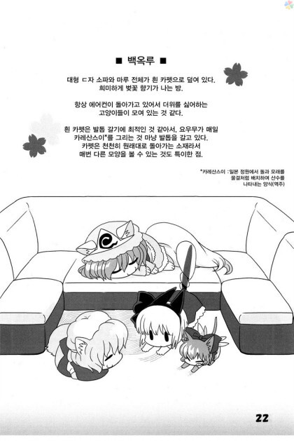 동방) 고양이 놀이_21.jpeg