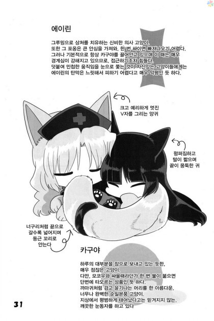 동방) 고양이 놀이_30.jpeg