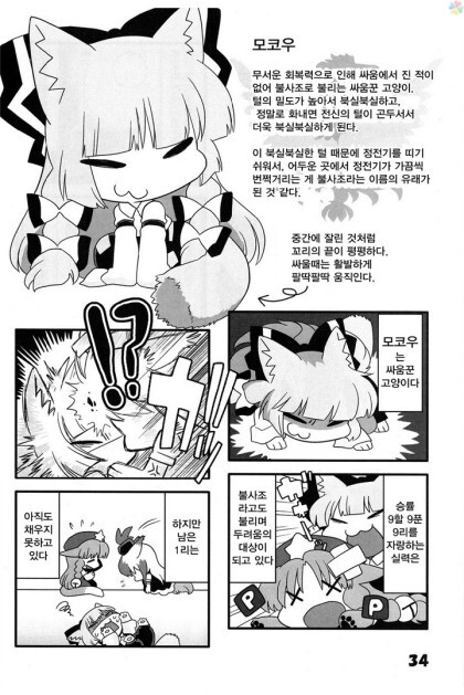 동방) 고양이 놀이_33.jpeg