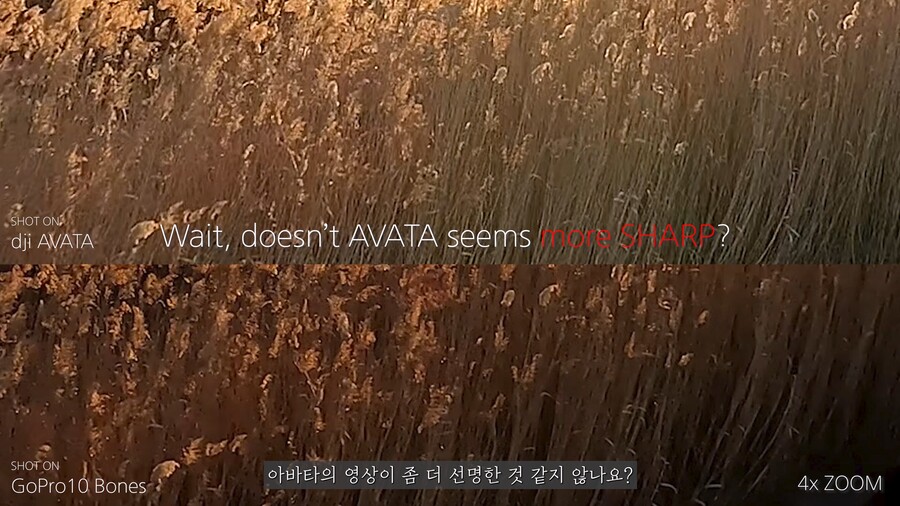 고프로 카메라 vs dji 아바타 카메라 비교_5.jpg