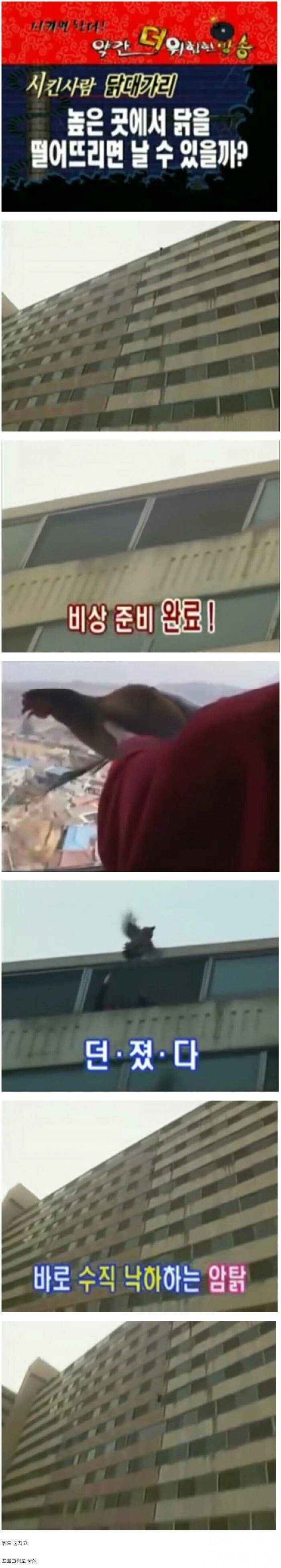 분노) 2000년대 실험방송 레전드.jpg_1.jpg