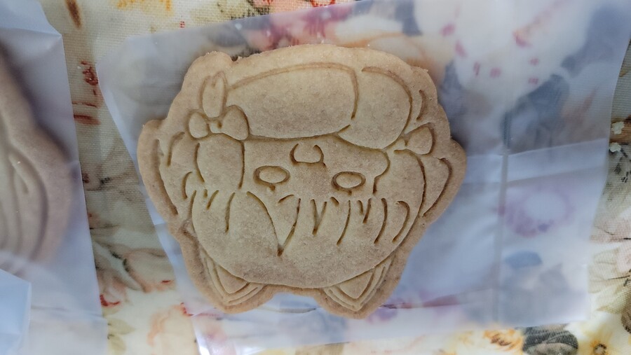 블루아카) 혐?)으으음 쿠키이이이_10.jpg