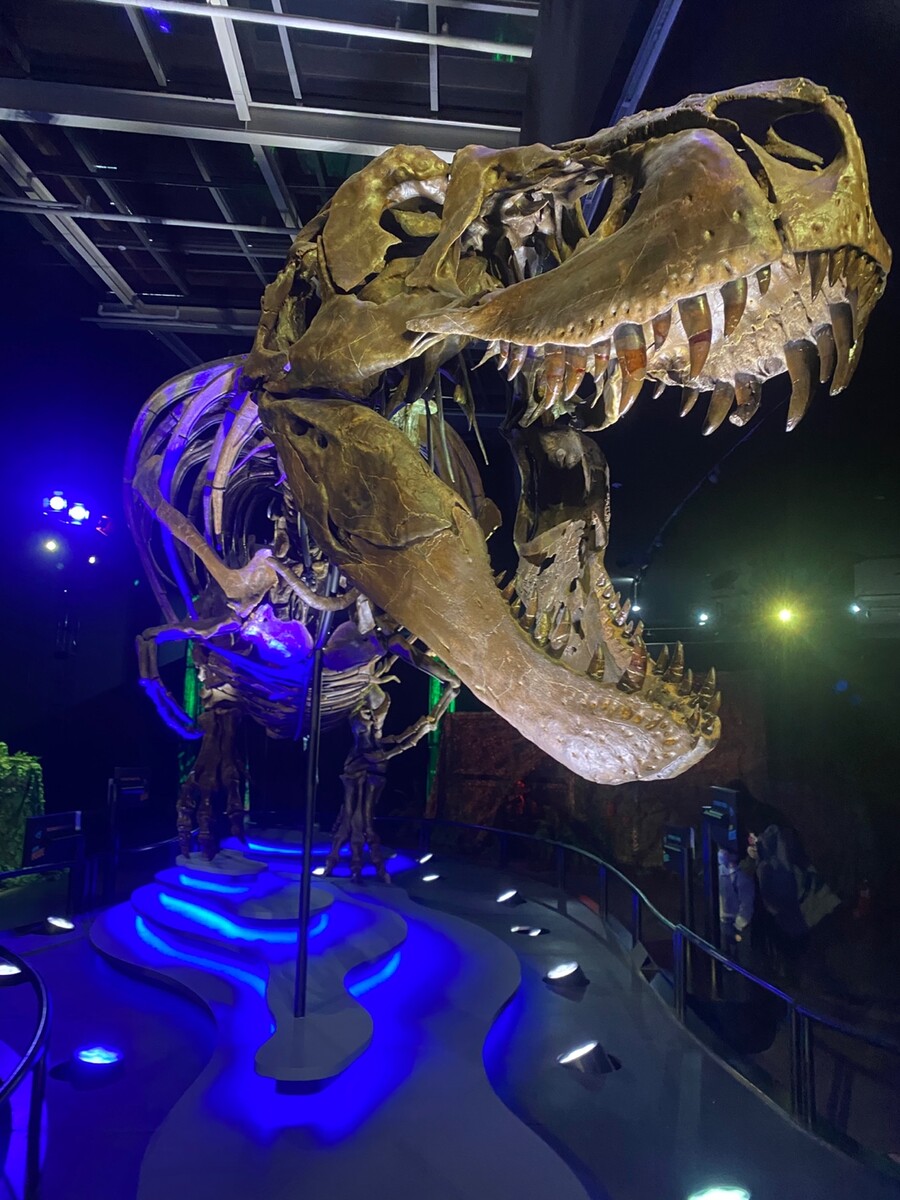 유게이 오늘 공룡뼈 보고 옴 (사진많음)_1.jpg