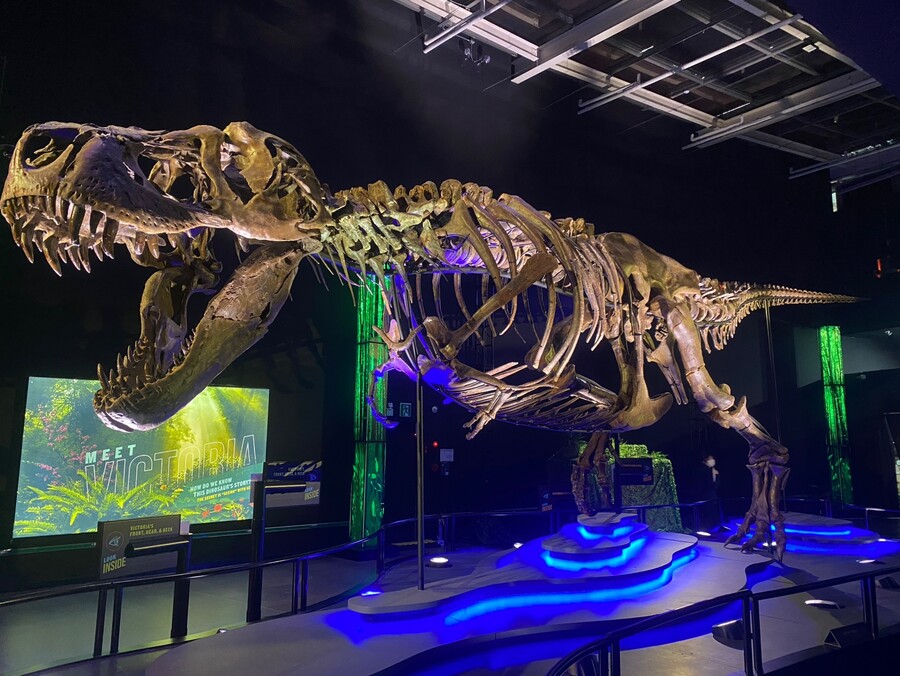 유게이 오늘 공룡뼈 보고 옴 (사진많음)_5.jpg