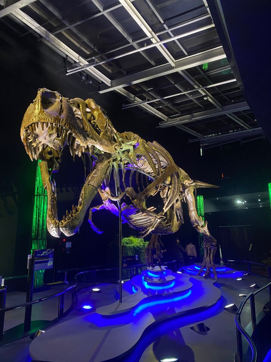 유게이 오늘 공룡뼈 보고 옴 (사진많음)_6.jpg