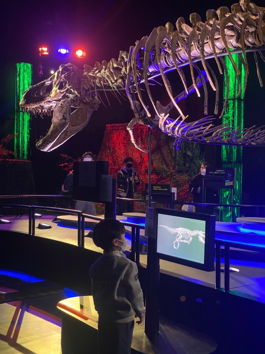 유게이 오늘 공룡뼈 보고 옴 (사진많음)_7.jpg