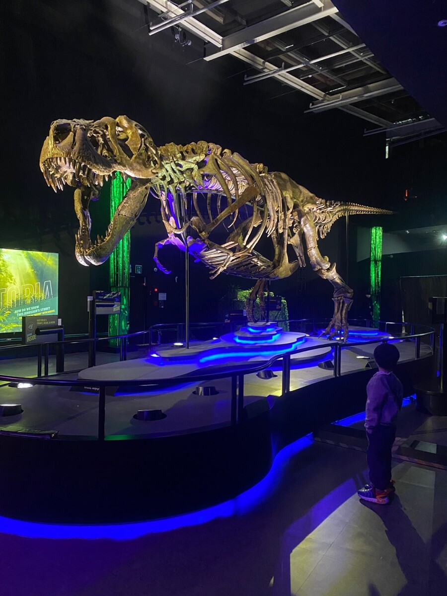 유게이 오늘 공룡뼈 보고 옴 (사진많음)_8.jpg