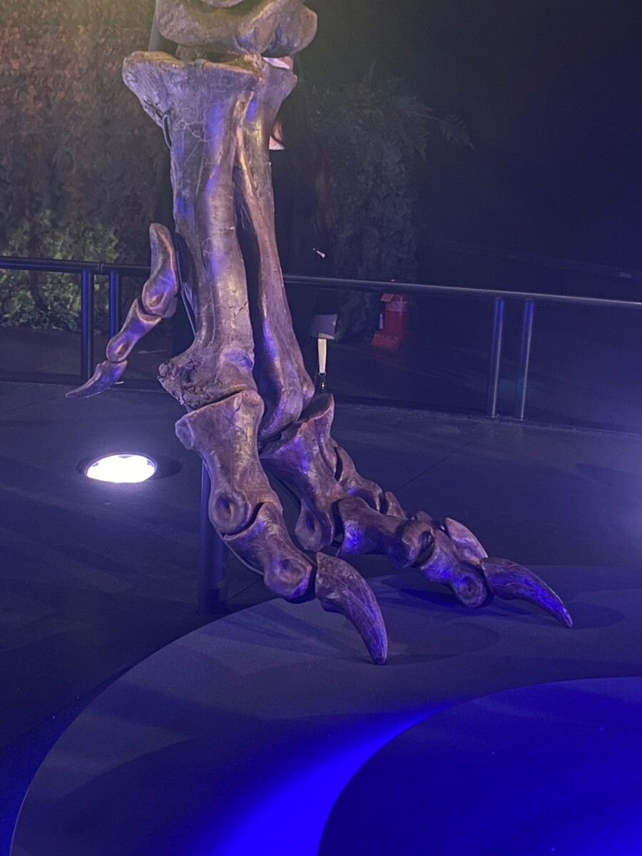 유게이 오늘 공룡뼈 보고 옴 (사진많음)_9.jpg