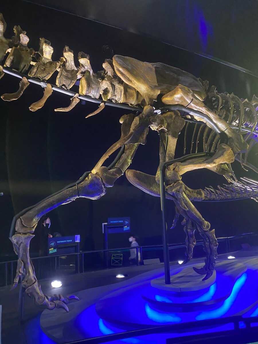 유게이 오늘 공룡뼈 보고 옴 (사진많음)_12.jpg