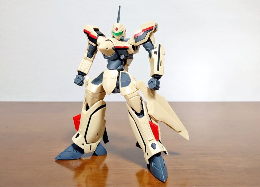 HG YF-19 포징 2.jpg