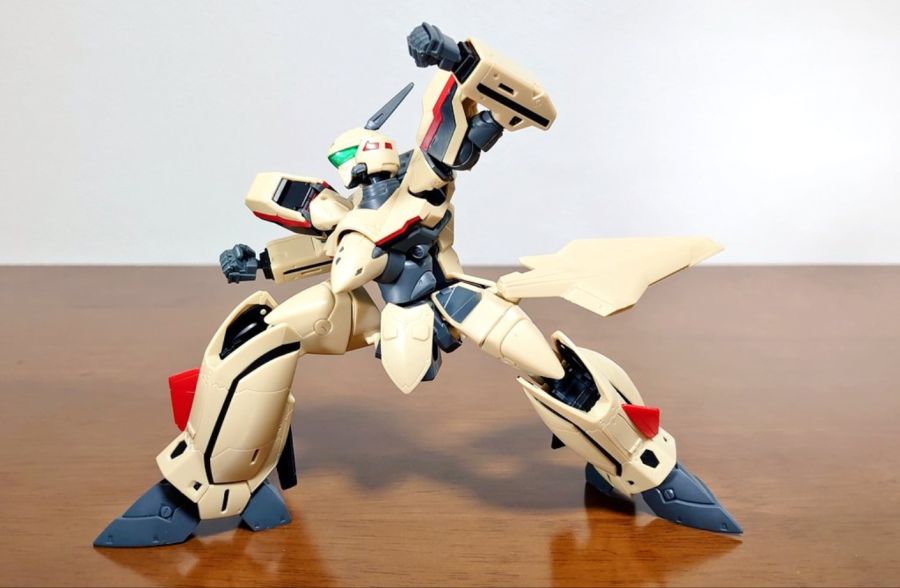 HG YF-19 포징 15.jpg