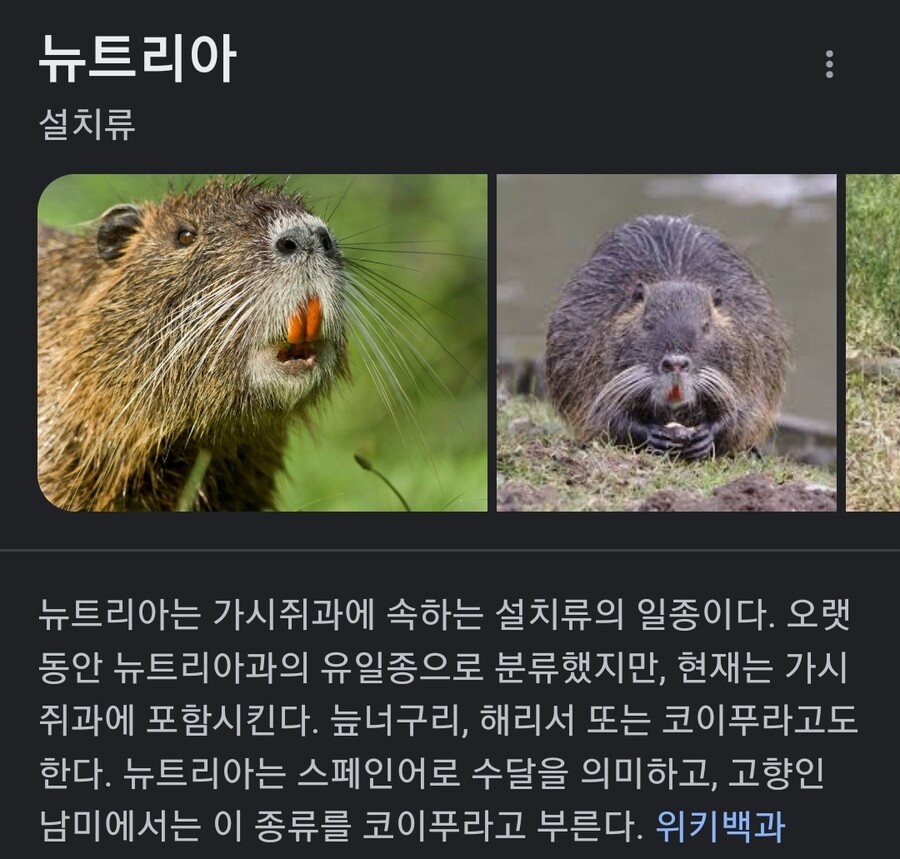 애초에 왜 우리가 굳이 잼칠라 별명 따라서 찢칠라라고 불러야 하냐?_1.jpg
