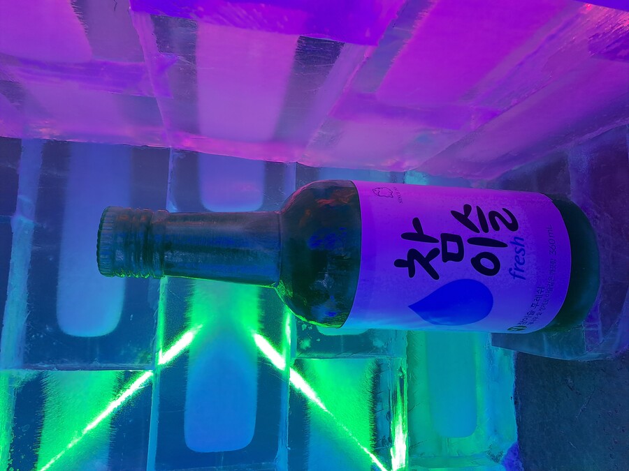 스압주의)국내 최대 얼음조각 전시회.jpg_14.jpg