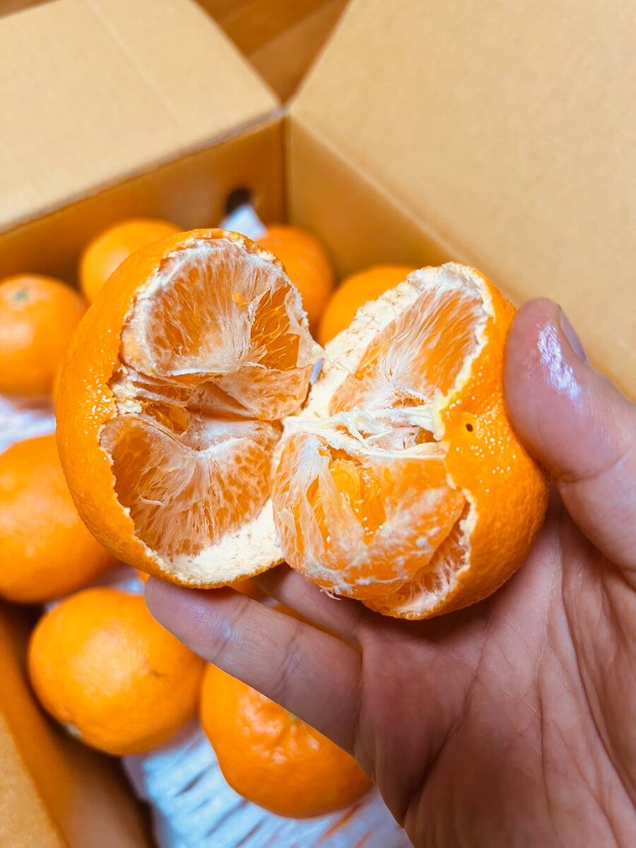 [네이버] 상큼하고 달달한 명품레드향 3kg 34,500(무료배송)_2.jpg