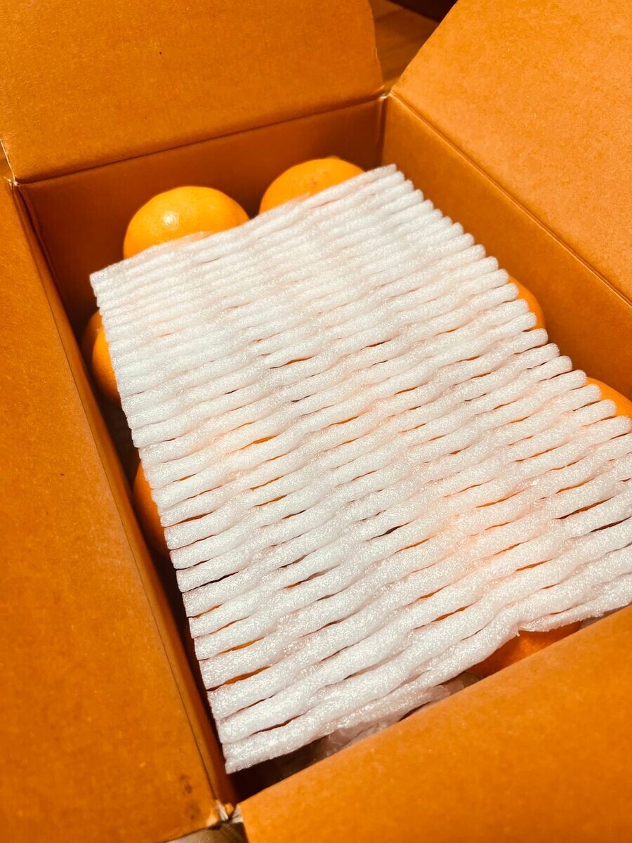 [네이버]제주도의 명품과일 천혜향 5kg 34,500(무료배송)_4.jpg