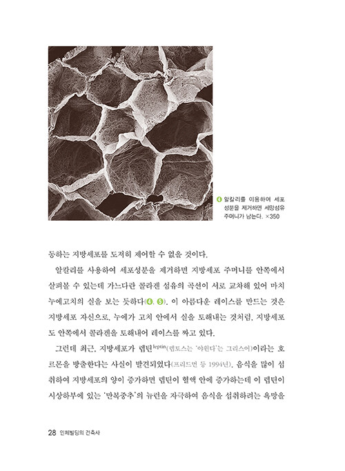 [누구나 세포] 세포 백과사전_20.jpg