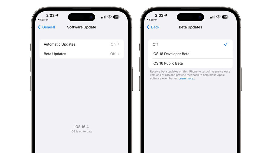 iOS/iPadOS 16.4부터 개발자 베타는 개발자 계정으로만 설치 가능_1.png