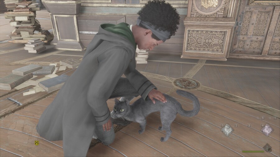 호구와트)고양이 못데려감?_1.jpg