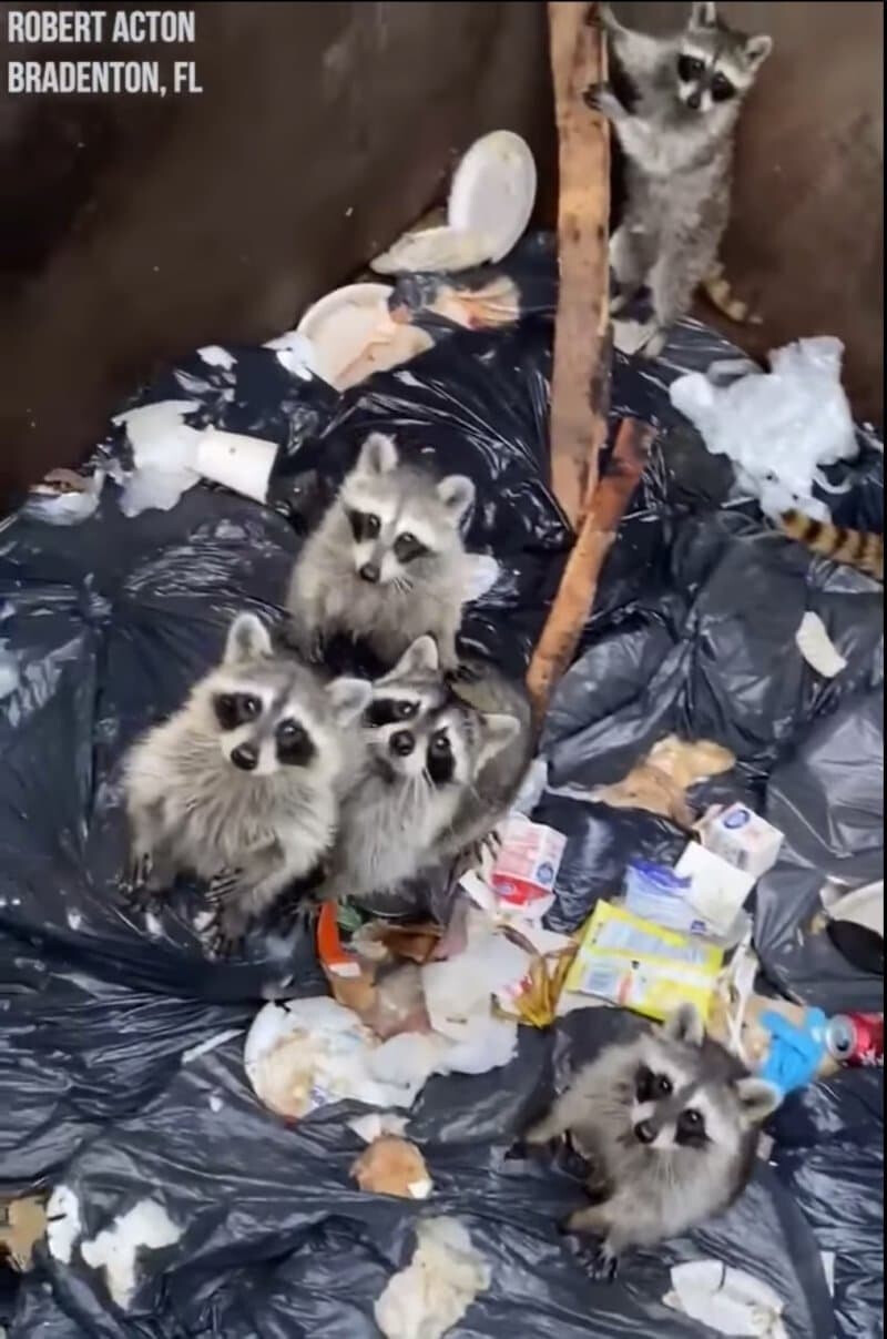 혐오)마따끄.... 또 난장판인가.. 질리지도 않아?_2.png