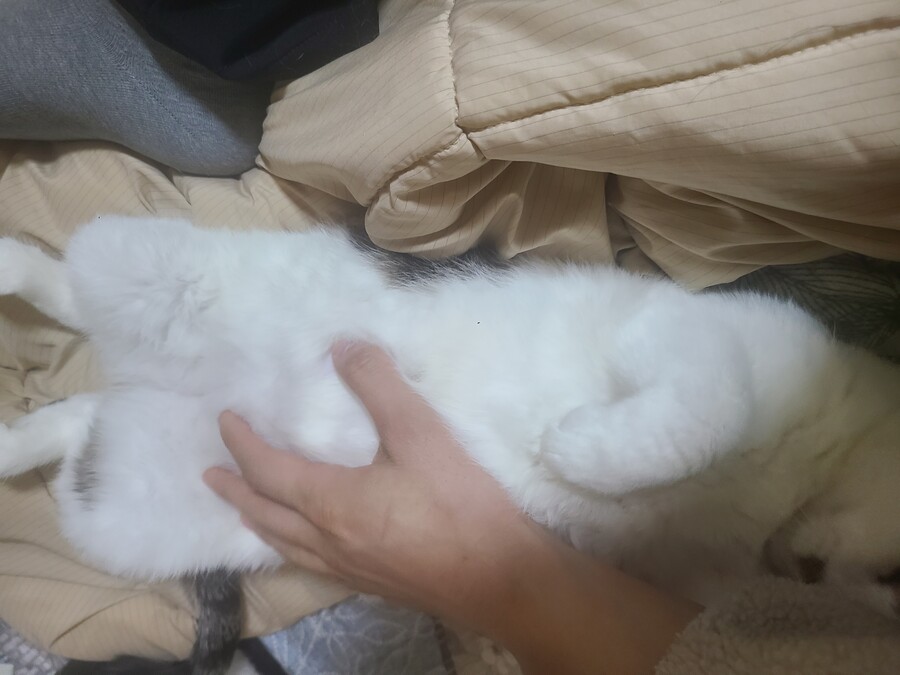 불법)마.약 그런거 왜하냐 ㅋㅋㅋ_2.jpg