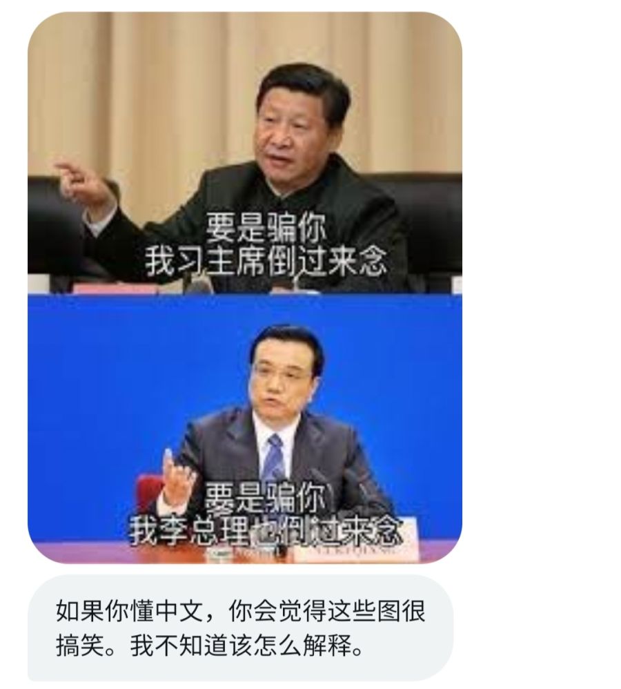 중국인에게 시진핑 짤을 보낸 결과_3.jpg