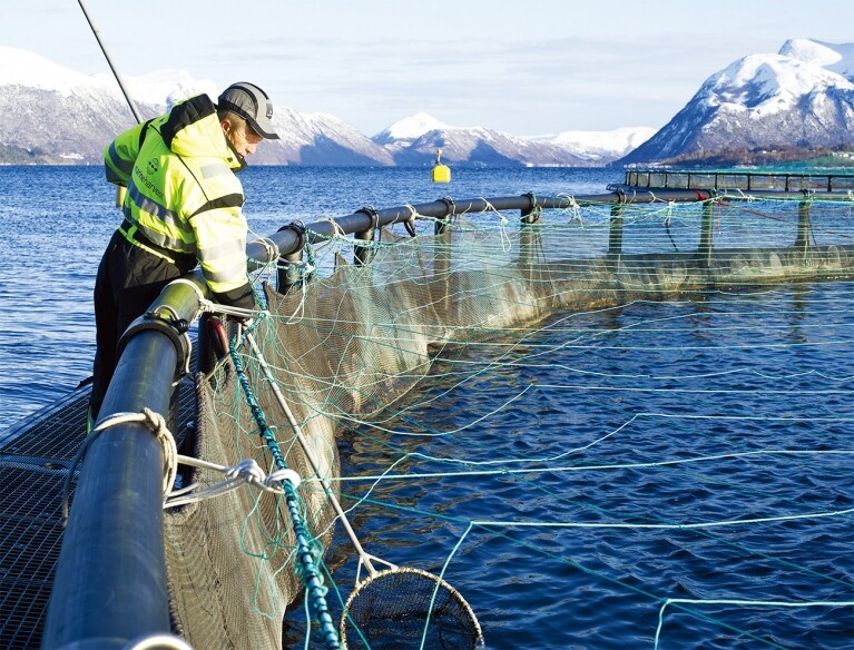 약혐) 우리가 가끔 먹고있는 연어알의 효능에 대해서 알아보자_10.jpg