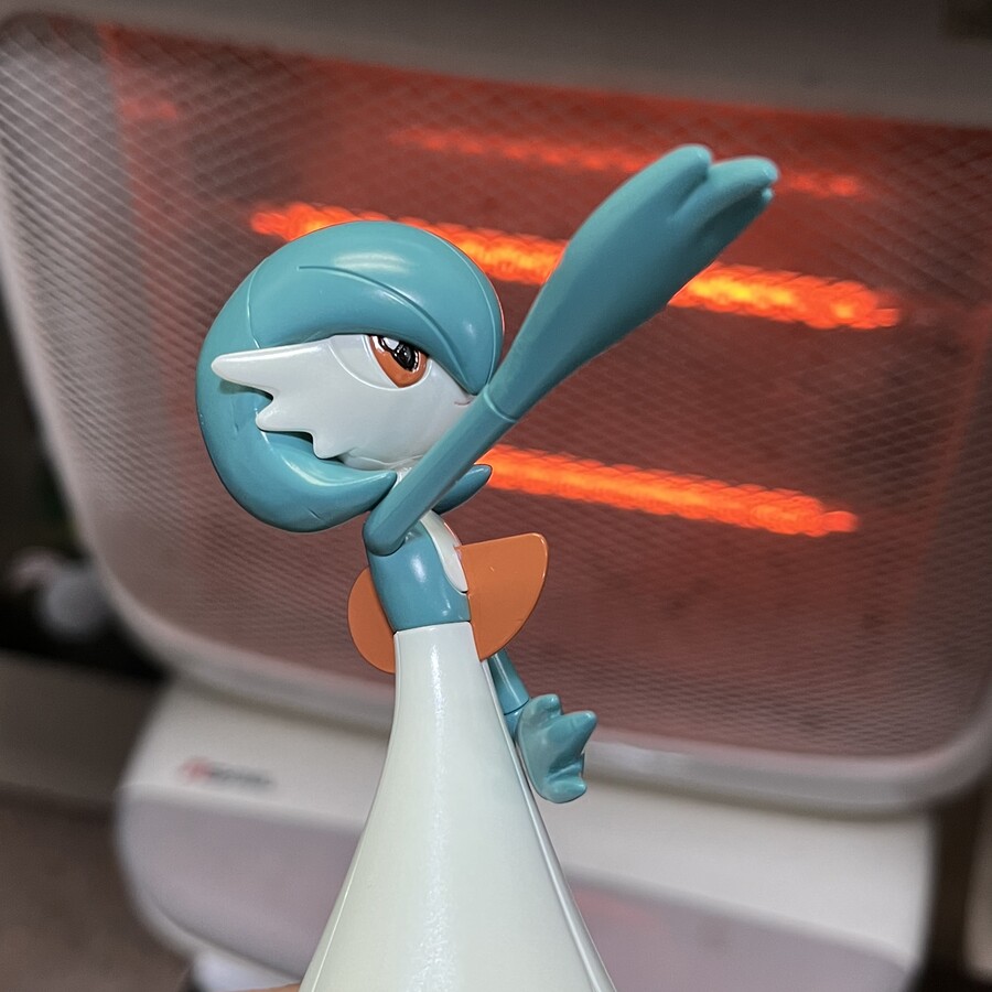 포켓몬 가디안 이로치_3.jpeg