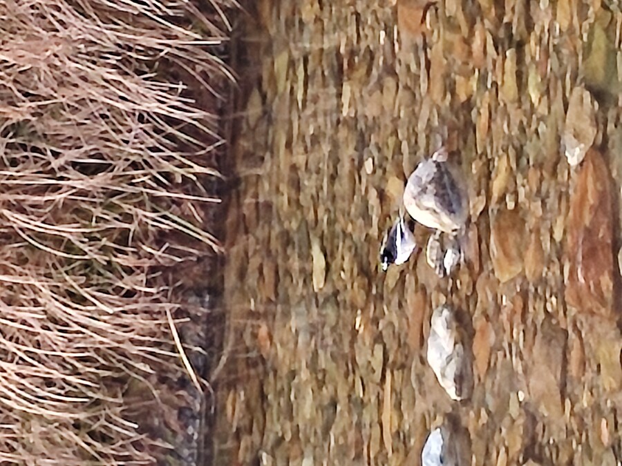 후쿠오카 야마구치 2_8.jpg