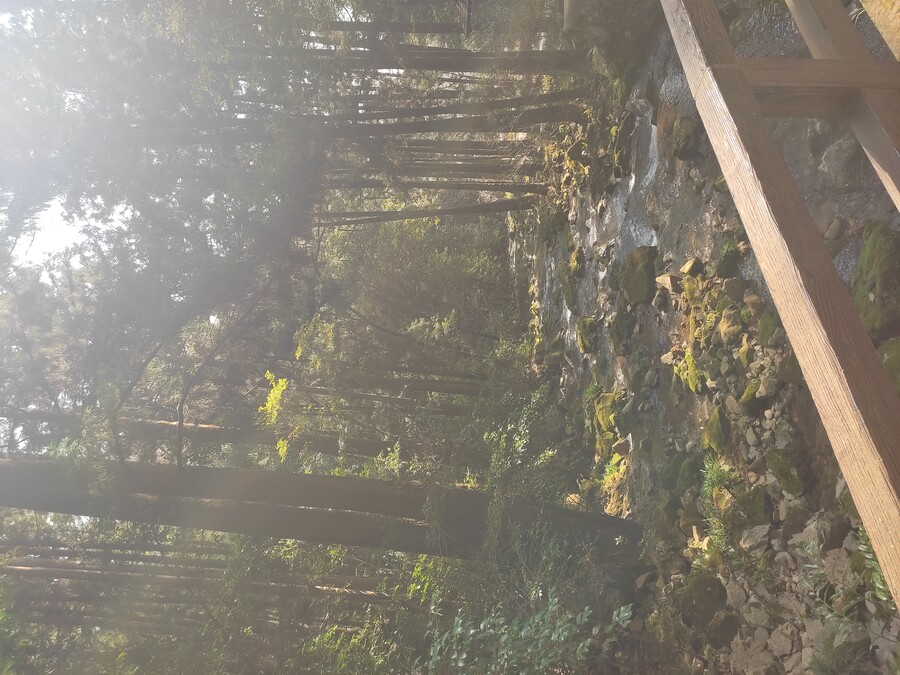 후쿠오카 야마구치 2_69.jpg