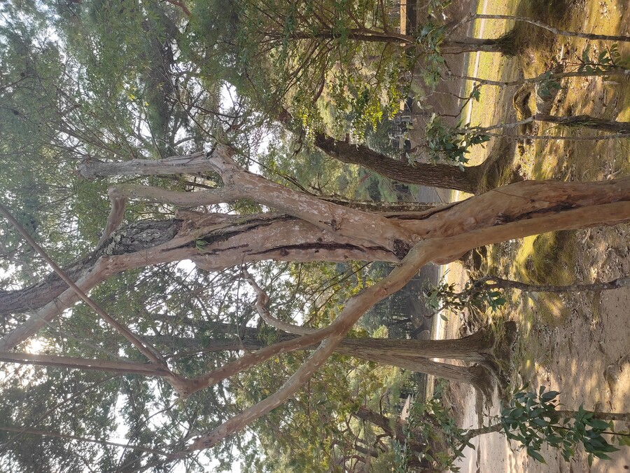 후쿠오카 야마구치 2_92.jpg