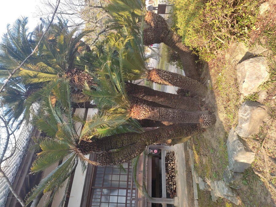 후쿠오카 야마구치 2_101.jpg