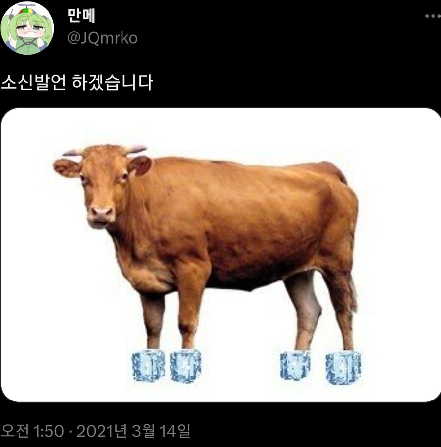 진지하게 소신발언 하겠습니다