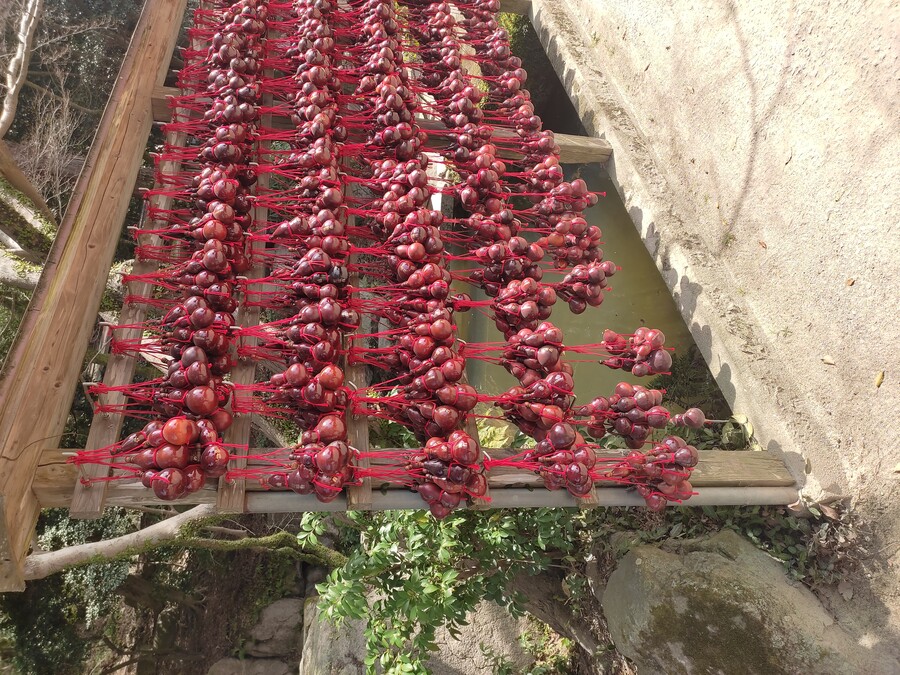 후쿠오카 야마구치 3_24.jpg