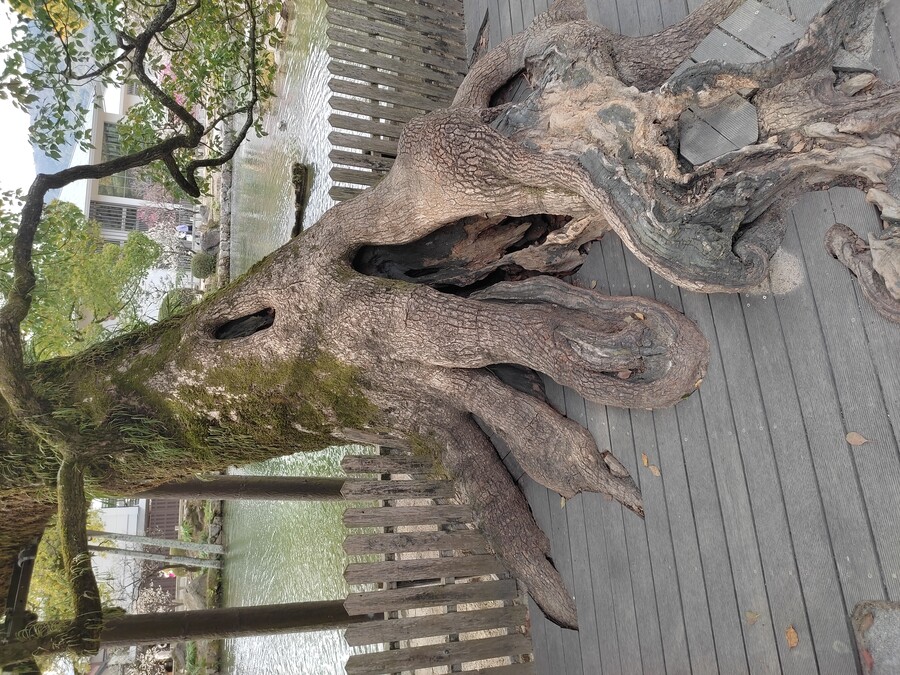 후쿠오카 야마구치 3_65.jpg