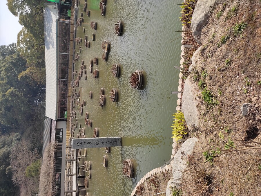 후쿠오카 야마구치 3_54.jpg