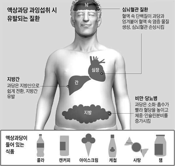 액상과당 과잉섭취의 위험성 jpg._1.jpg