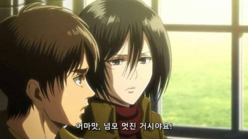 진격의 거인 자막 제작자를 빡치게 한 결과.jpg_9.jpg