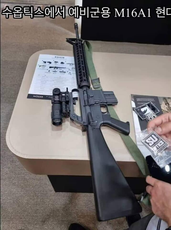 동원사단 예비군용 M16A1의 현대화 계획_1.jpg