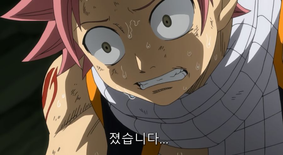 페어리테일) 최고의 명장면_48.jpg