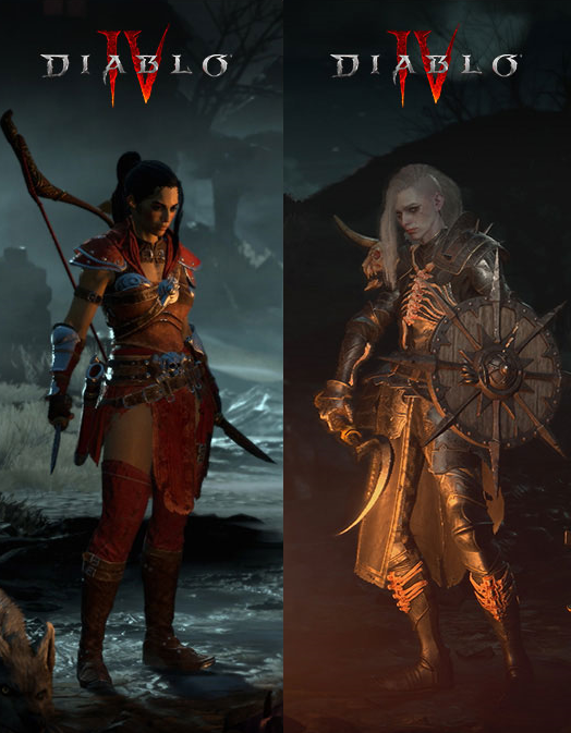 [디아4] 도적이랑 강령여캐는 분위기 안해치면서도 예쁘게 잘뽑았더라_1.png