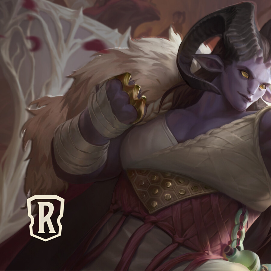 [레오룬] 확장팩 나보리의 영광 신규 카드&용어 공개_2.jpg