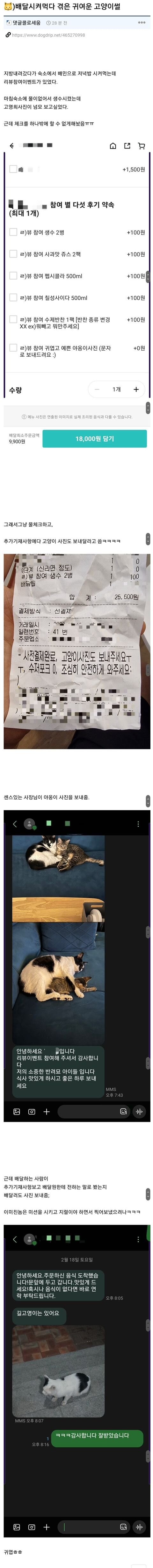 배달시켜먹다 겪은 고양이 썰.jpg_1.jpg